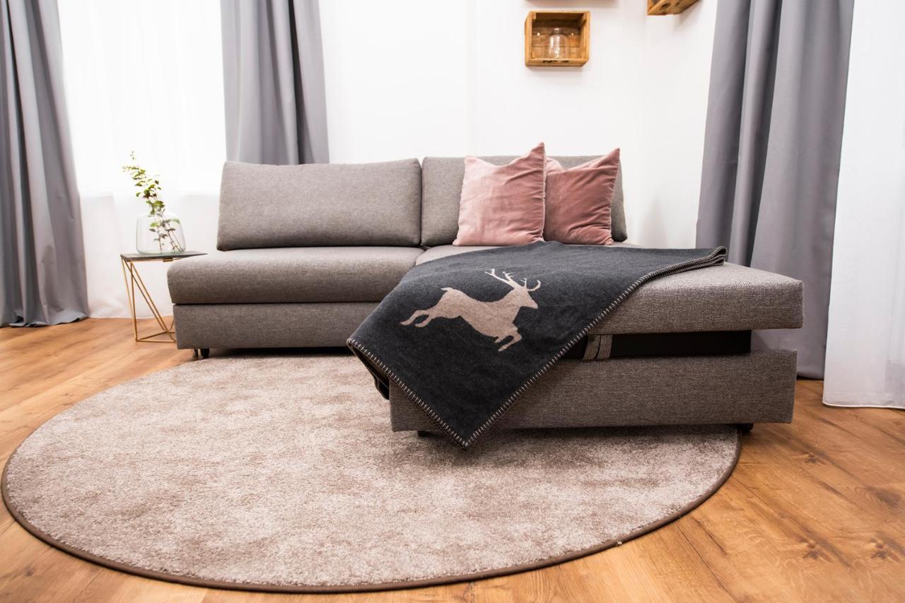 Franzls Panorama Appartements 巴德加斯坦 外观 照片